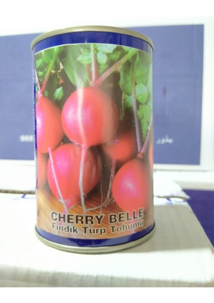 Fındık Turp Tohumu 100 gr Fındık Cherry