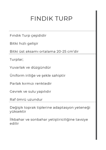 Fındık Turp Tohumu 100 gr Fındık Cherry modelleri