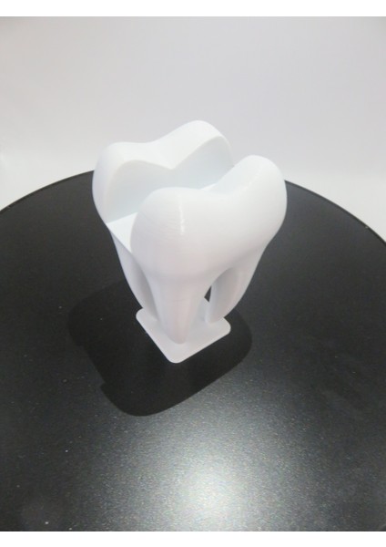 3D Baskı Diş Şeklinde Kartlık – Diş Hekimleri Için Şık ve Eğlenceli! 🦷✨