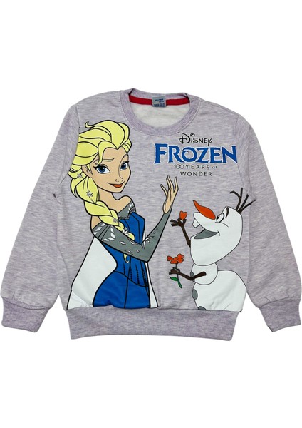 Kız Çocuk Iki Iplik Şardonlu Frozen Desenli Eşofmantakımı fiyatları