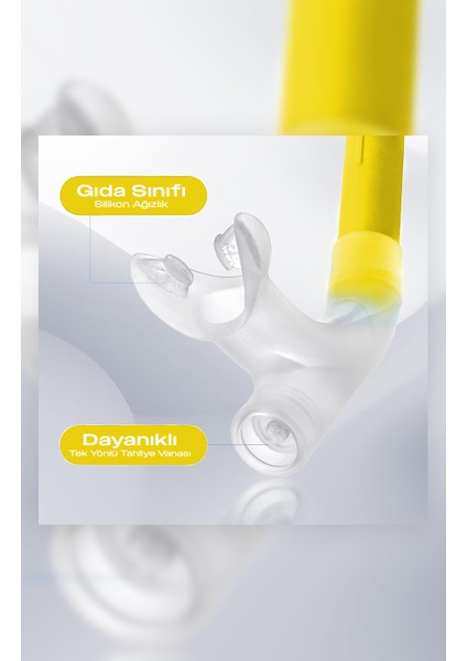 Yetişkin Yüzücü Antreman Önden Takmalı Valfsız Havuz Şnorkeli SN10SAR