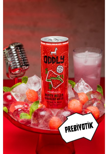 Dört Dörtlük (Turşu Suyu, Karpuz-Nane, Ananas-Mango) 12 Adet