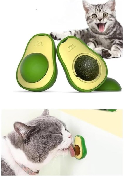 Avokado Kedi Nanesi Kedi Otu Topu Kedi Oyuncağı Yapışkanlı Catnip