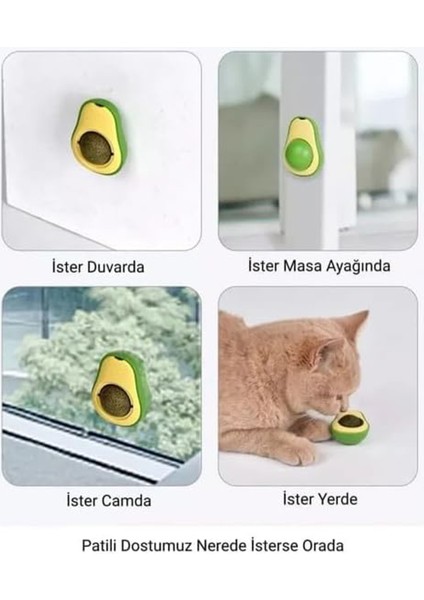 Avokado Kedi Nanesi Kedi Otu Topu Kedi Oyuncağı Yapışkanlı Catnip