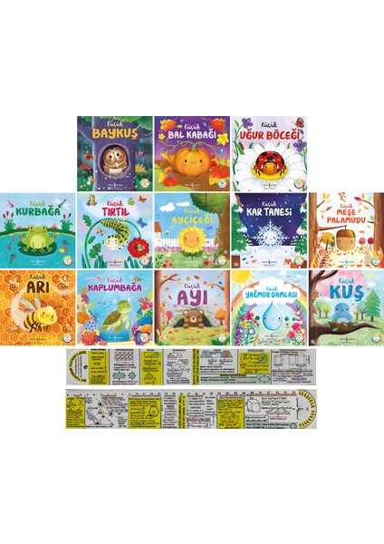 Doğanın Eşsiz Hikayeleri 13 Kitap Set (Matematik Öğreten Cetvel)