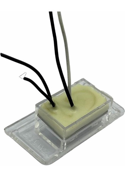 12V-24V Plaka Lambası Içi (2 Ledli) (52*17 Mm)