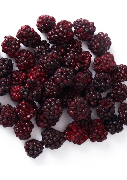 x 2 Paket Dondurularak Kurutulmuş Böğürtlen 100 gr