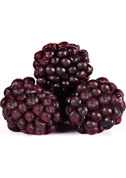 x 2 Paket Dondurularak Kurutulmuş Böğürtlen 100 gr