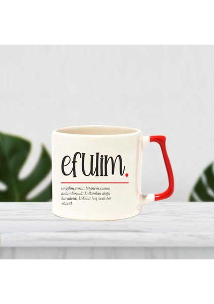 Efulim Sevgilim Baskılı Kupa