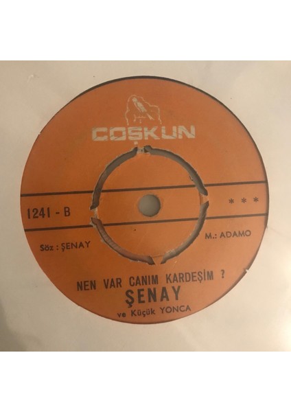 Şenay - Hayat Bayram Olsa - Orijinal Dönem Baskı 45'lik Plak