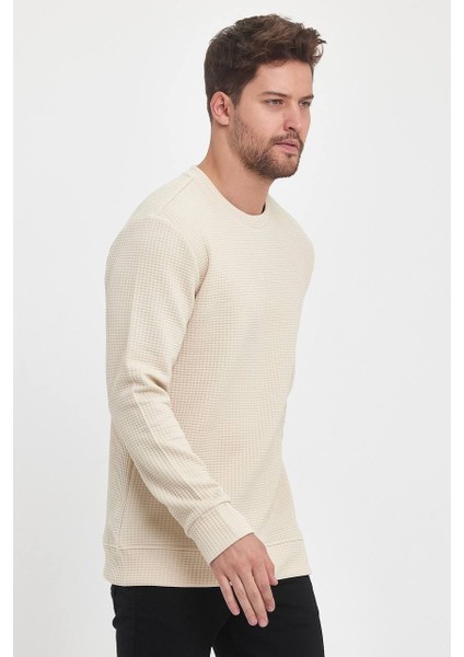 Kendinden Desenli Sweatshirt fiyatları