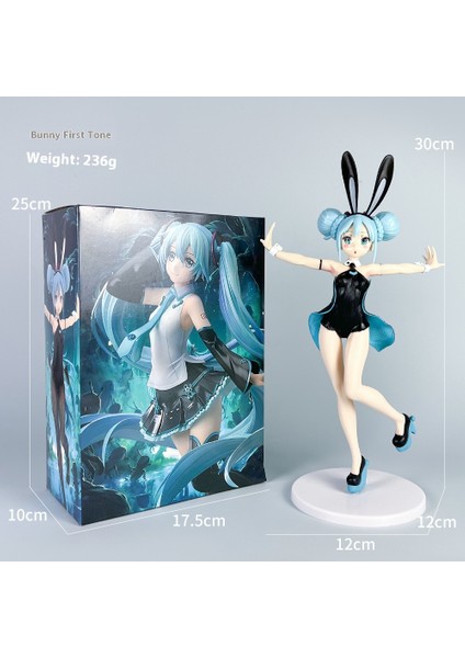 Hatsune Miku Figürü Anime Su Buz Ay Güzel Kız Rem Ram Qiongmei Iki Boyutlu Bebek Modeli Süsler (Yurt Dışından)