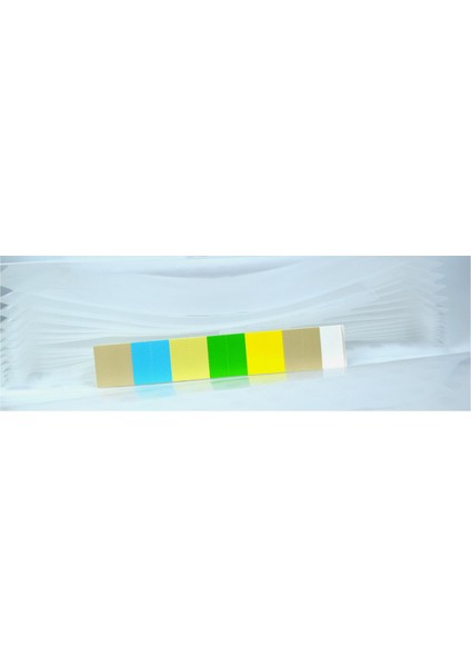 13 Gözlü Körüklü Evrak Dosyası Pastel Renkler