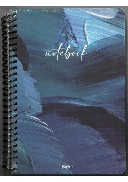 Papirüs Nova Sert Kapak Spiralli 16X23 100YP. Çizgili Defter