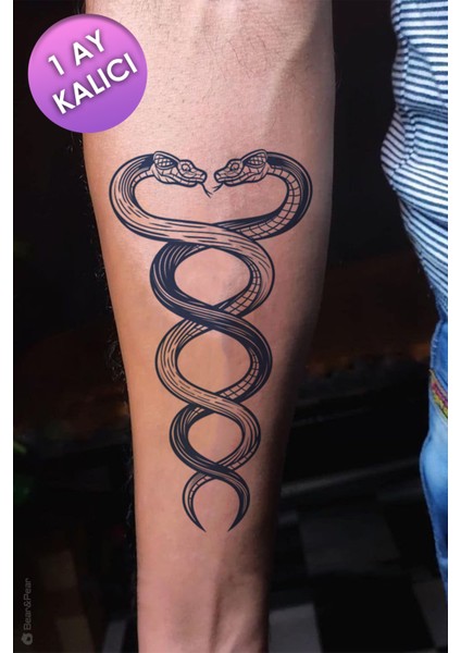 1 Ay Kalıcı Tattoo Yılan Dövmesi Snake Tattoo