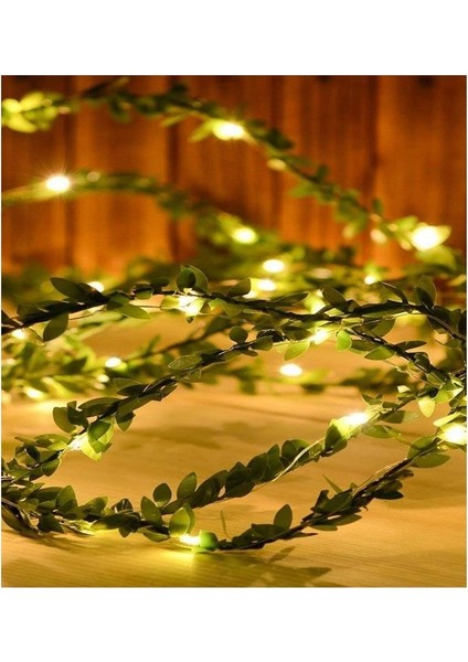 Yeşil Sarmaşık Peri LED Işık 3 M