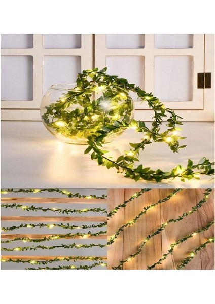 Yeşil Sarmaşık Peri LED Işık 3 M fiyatları