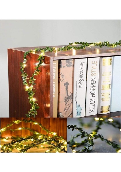 Yeşil Sarmaşık Peri LED Işık 3 M modelleri