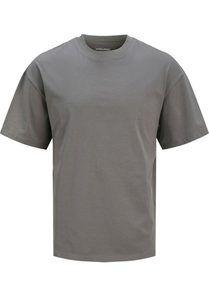 Jjebradley Tee Ss Noos Grı Erkek Kısa Kol T-Shirt