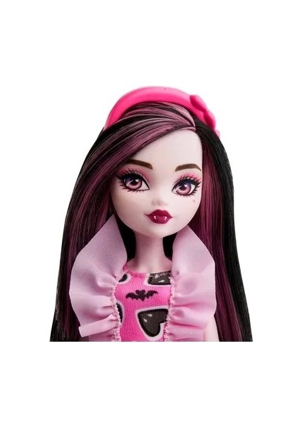 Monster High Ana Karakter Bebekler Draculawra HKY74 fiyatları