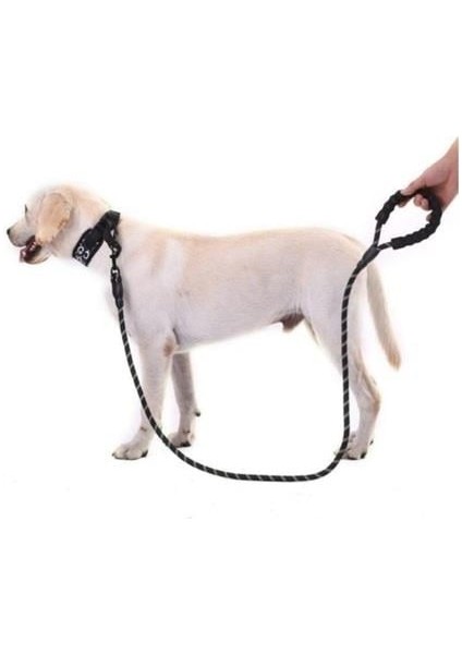 Orta ve Büyük Boy Köpekler İçin Kalın Gezdirme Tasma Kayışı Reflektörlü 130 cm Syg-Reflektör Tasma fırsatları