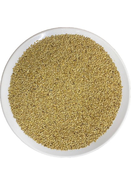 2 kg Sade Aspur Kanarya Kuş Yemi - Muhabbet Kuşu - Papağan Saka - Serçe - Güvercin - Kumru