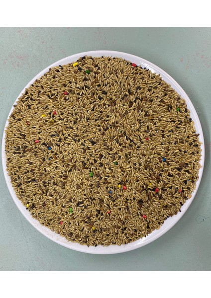 100 gr Karışık Kanarya Kuşu Yemi Vitaminli