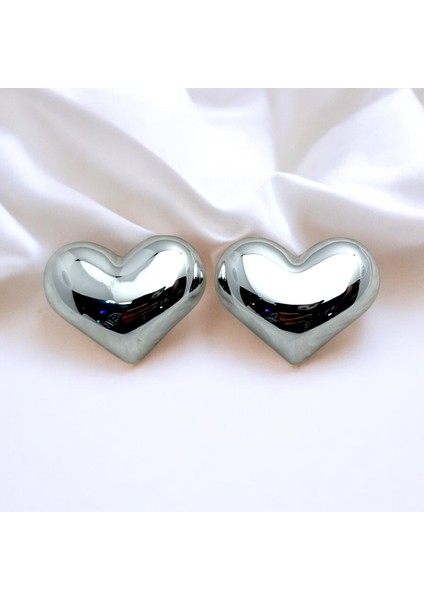 Çelik Kalp Figürlü Gümüş Renk Küpe fiyatları