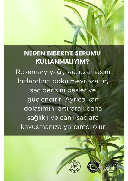 Doğal Biberiye Yağı, Hızlı Saç Uzamasını Sağlar