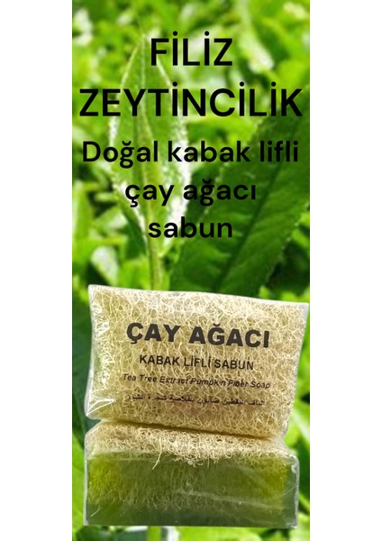 Doğal Kabak Lifli Çay Ağacı Sabun modelleri