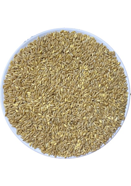 50 gr Sert Buğday fiyatları