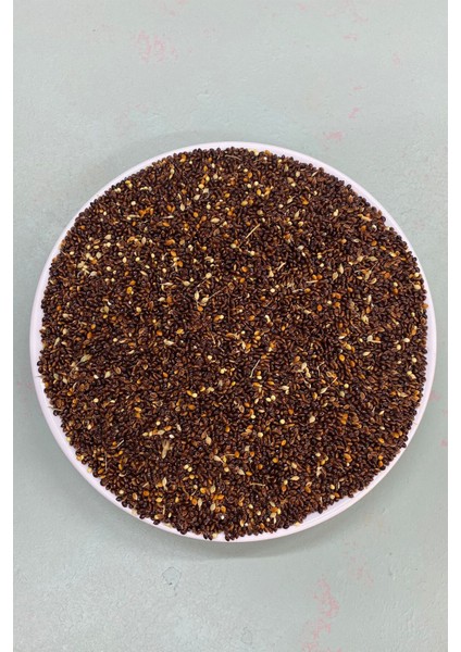2 kg Siyah Muhabbet Kuşu , Papağan, Bülbül , Saka, Güvercin, Serçe Yemi Kuş Yemi