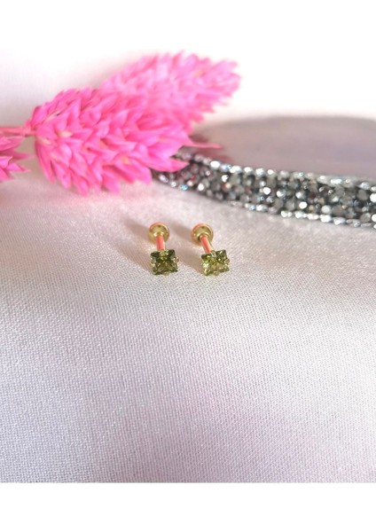 Iki Adet- %100 316 L Cerrahi Çelik Küçük Tek Taş Piercing - Bar Uzunluğu 6 Mm, Taş Çapı 3 mm fiyatları