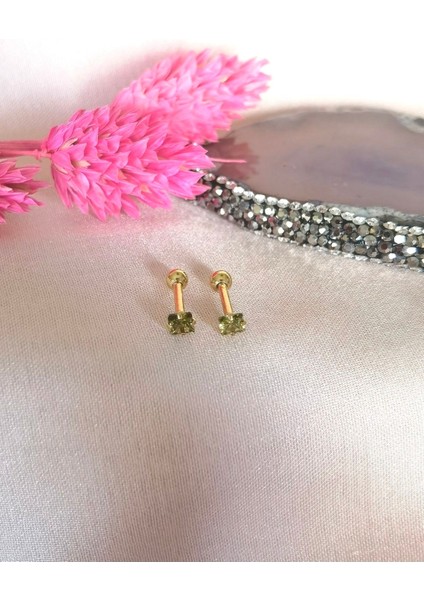 Iki Adet- %100 316 L Cerrahi Çelik Küçük Tek Taş Piercing - Bar Uzunluğu 6 Mm, Taş Çapı 3 mm indirimleri