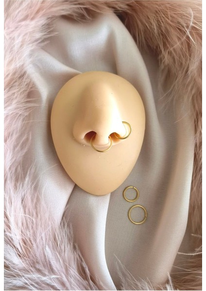 Cerrahi Çelik Halka Hızma/piercing Set. Çap 8 MM,10MM x Kalınlık 1 mm - 2 Adet fiyatları