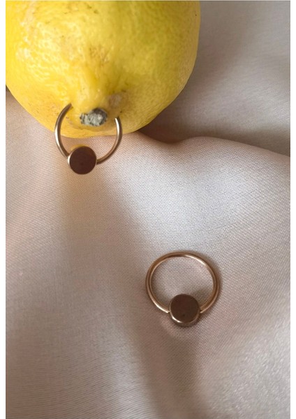 Cerrahi Çelik Bir Çift Memeucu/nipple Piercing- Kalınlık 1,2 mm ( 2 Adet) fiyatları