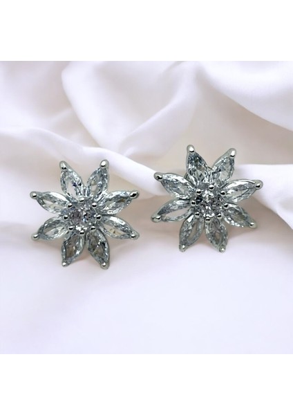 Özel Seri Zirkon Taşlı Çelik Küpe