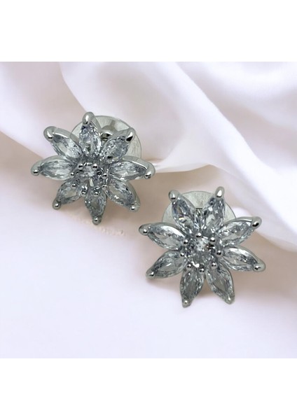 Özel Seri Zirkon Taşlı Çelik Küpe fiyatları