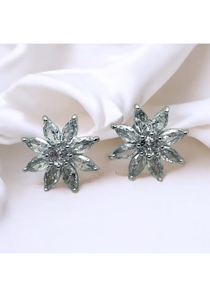 Özel Seri Zirkon Taşlı Çelik Küpe modelleri