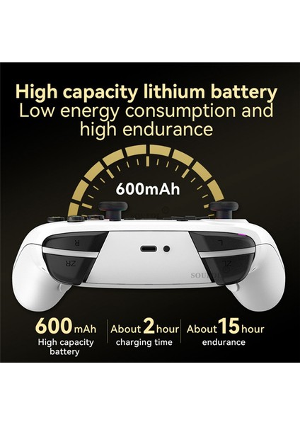 Krallığın Gözyaşları Oyun Kumandası -D (Yurt Dışından) indirimleri