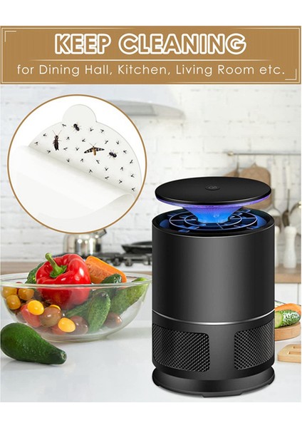 Yedek Tutkal Levhaları Tutkal Levhaları Yeniden Doldurma Yapışkan Kartlar (Yurt Dışından) indirimleri