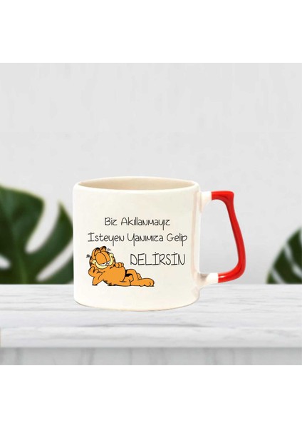 Biz Akıllanmayız Gelin Delirelim Baskılı Kupa