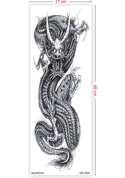 Ejderha Dövmesi Tam Boy Kol Kaplama Dragon Tattoo modelleri