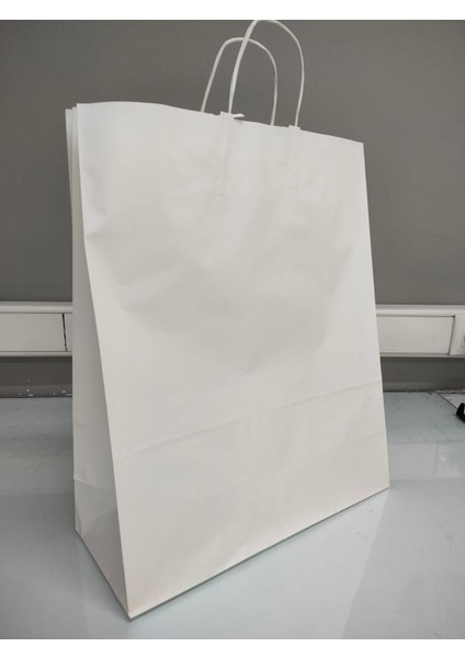 BEYAZKRAFTBURGUSAPÇANTA40X16X48'25ADET fiyatları