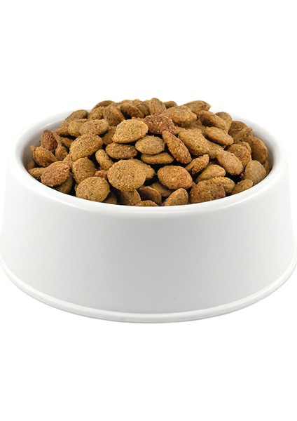 Somonlu Yetişkin Köpek Maması 1 kg Açık