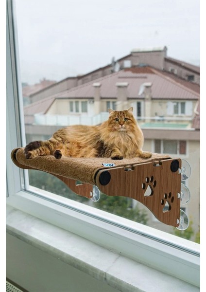 Ahşap Cama Yapışan Kedi Yatağı Vantuzlu Cam Yatağı Terası