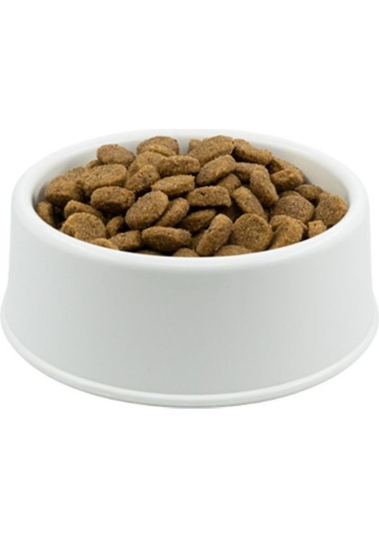 Hills Kuzulu Yetişkin Köpek Maması 1 kg Açık