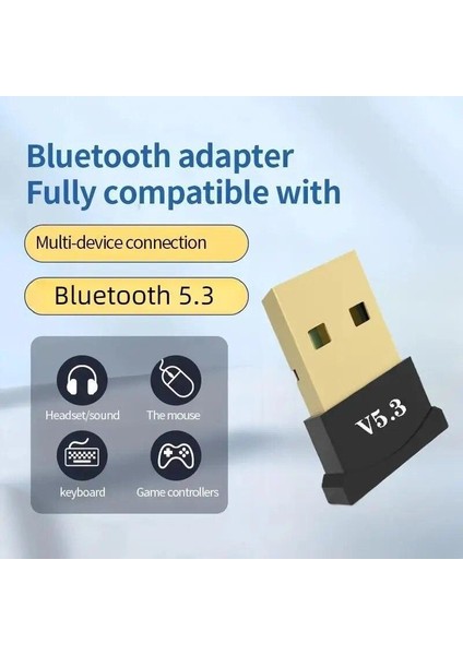 Bilgisayar Bluetooth Aparatı Çevirici Dönüştürücü Mini Bluetooth Adaptör Dongle 5.3 Yeni EMR 1 adet