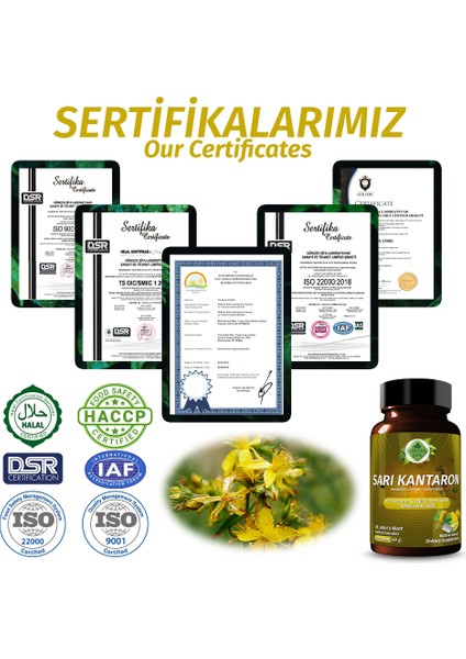 Şifa Sarı Kantaron Kapsül (ST JOHN'S WORT CAPSULE)