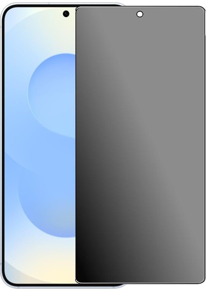 nano Extreme Prıvacy Samsung S25 Nano Ekran Koru